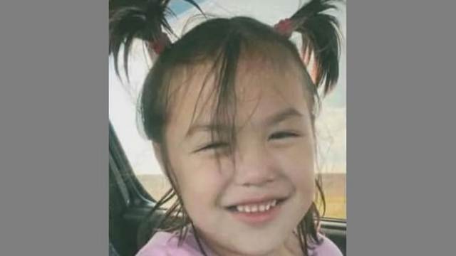 5-летняя девочка пропала в Костанайской области