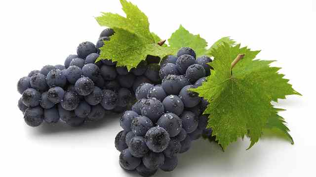 Диетолог рассказал, кому вреден виноград