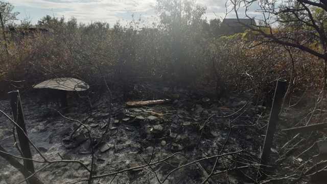 Видео: Пожар разгорелся на дачах под Костанаем