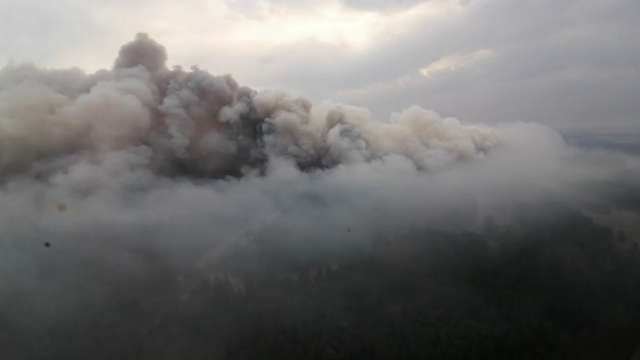 Пожары в Костанайской области: глава лесхоза арестован