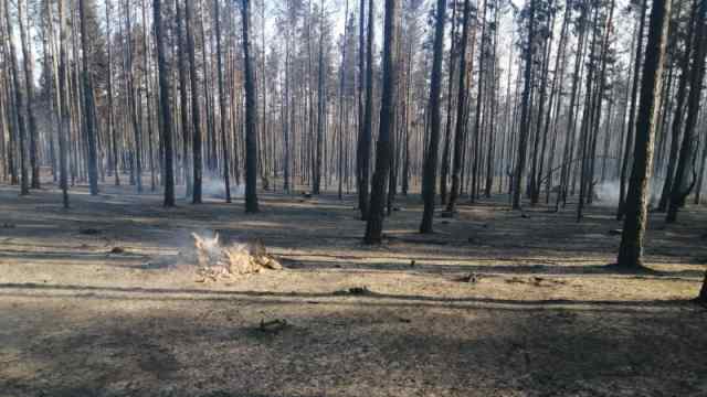 В Карабалыкском районе жильё в безопасности, но огонь есть