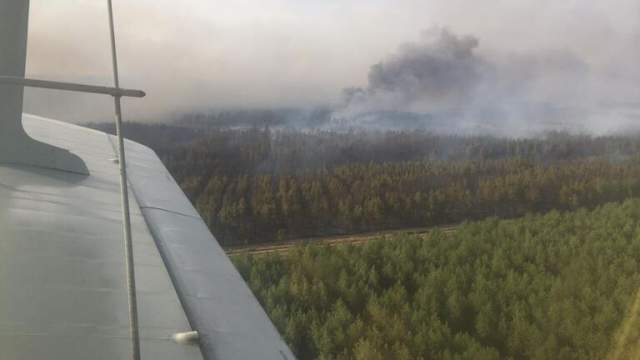 Министр едет на место лесного пожара в Костанайской области