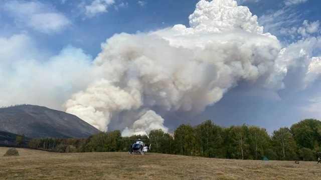 Треть лесных пожаров в ВКО удалось ликвидировать