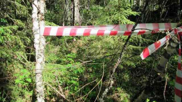 Грибники нашли тело мужчины в Костанайской области
