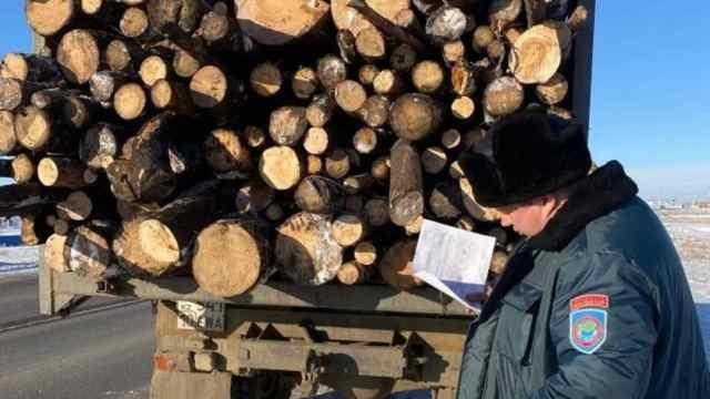 Российский лес будут завозить через Костанайскую область
