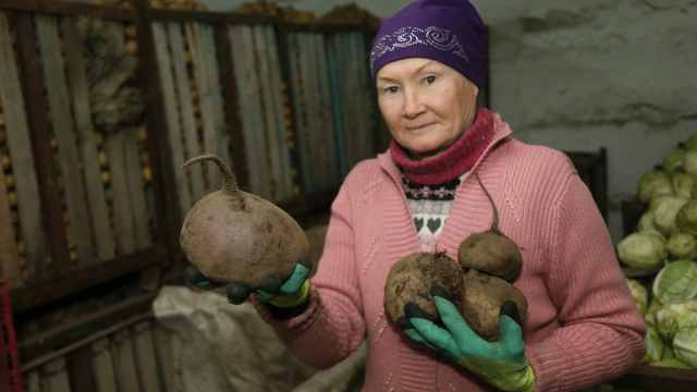 Казахстанцев обещают завалить местными овощами