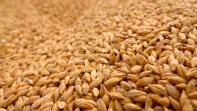 Костанайские аграрии жалуются на ввоз пшеницы из России
