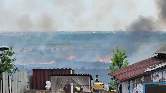 Всё в дыму: камыш загорелся в Костанае