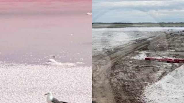 Комиссия проверит состояние розового озера под Павлодаром