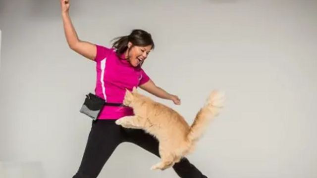 13-летний кот побил мировой рекорд по прыжкам со скакалкой