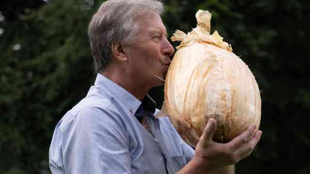 Садовод вырастил гигантскую луковицу: сколько она весит