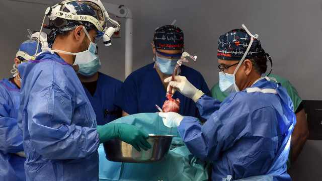 Хирурги успешно пересадили свиное сердце второму человеку