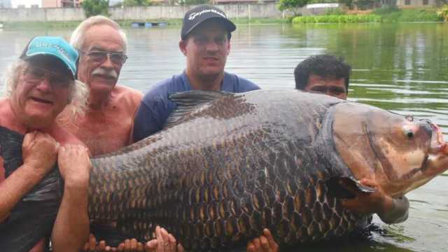 Рыбак поймал гигантского карпа: сколько весит рыбка
