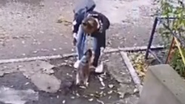 Дети плачут: женщина забрала чужого кота в Костанае