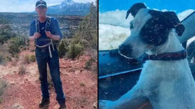 Собака два месяца просидела в горах возле мёртвого хозяина