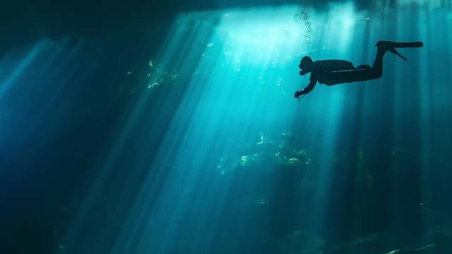В океане сняли на видео рыбу невероятной красоты