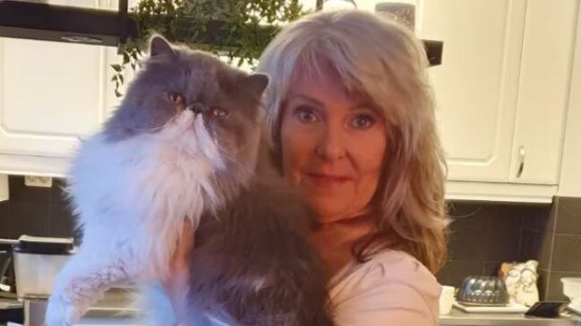 Соседская кошка спасла женщину от смерти: что она сделала