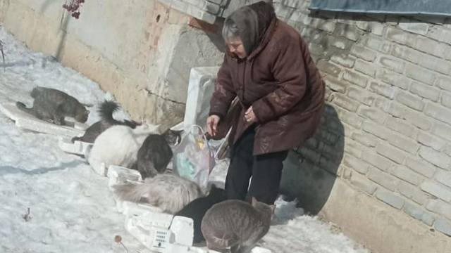 Пожилая любительница кошек растрогала жителей Костаная