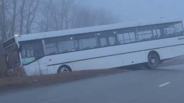 Пассажирский автобус съехал в кювет под Костанаем — видео