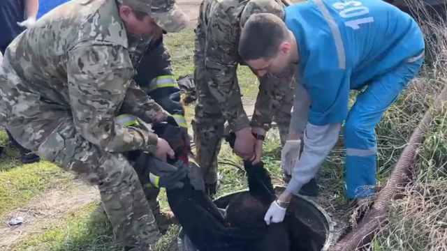 В Костанайской области двух рабочих вытащили из септика