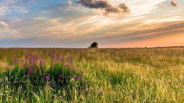 Женщина ушла в костанайскую степь и заблудилась