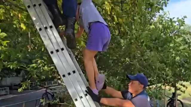 10-летнюю девочку сняли с дерева спасатели в Костанае
