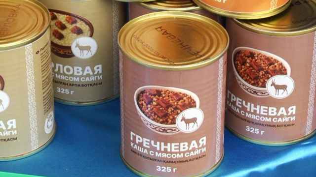 В Костанайской области начали готовить тушёнку из сайгаков