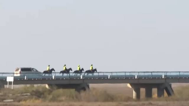Лошади убывают из конного марафона в Костанайской области