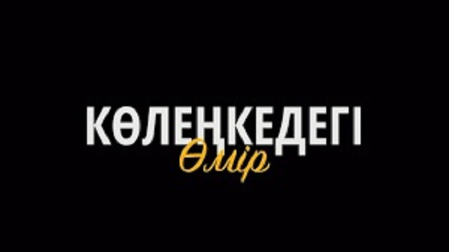 Көлеңкедегі өмір 1 серия Смотреть онлайн