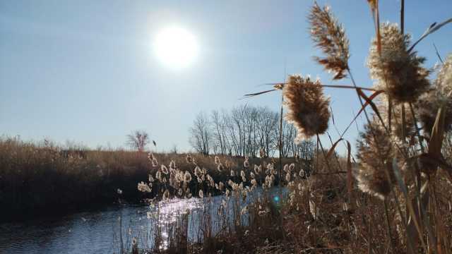 О погоде в Костанае и Рудном на 1 ноября, субботу