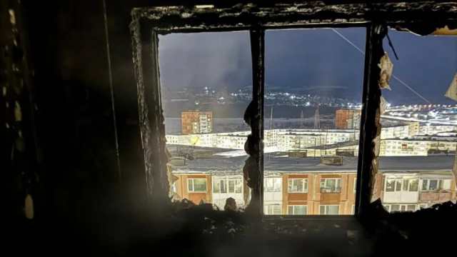 Многодетная семья осталась без квартиры из-за ёлки