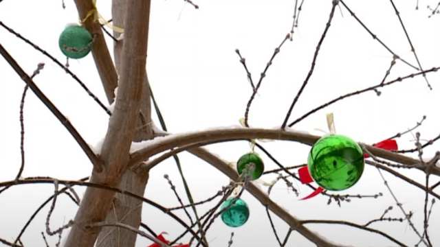 Костанайские дворы могут выиграть 500 000 тенге — видео