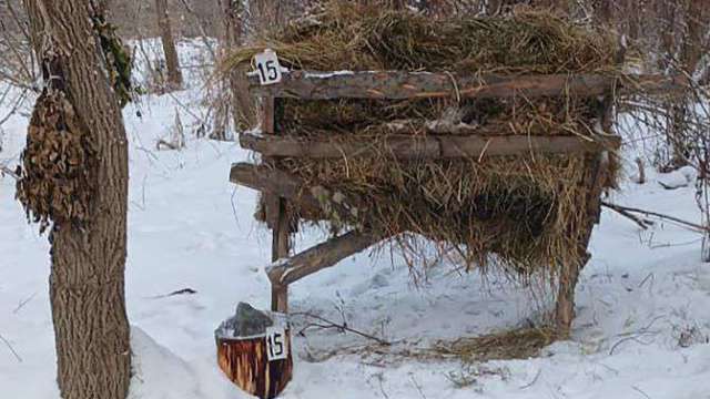 Прикормка по плану: лесники подкармливают диких животных