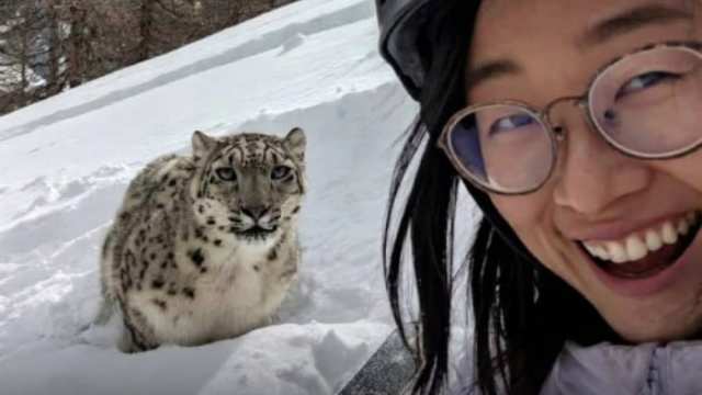 Совместное фото с барсом не принесло даме ничего хорошего