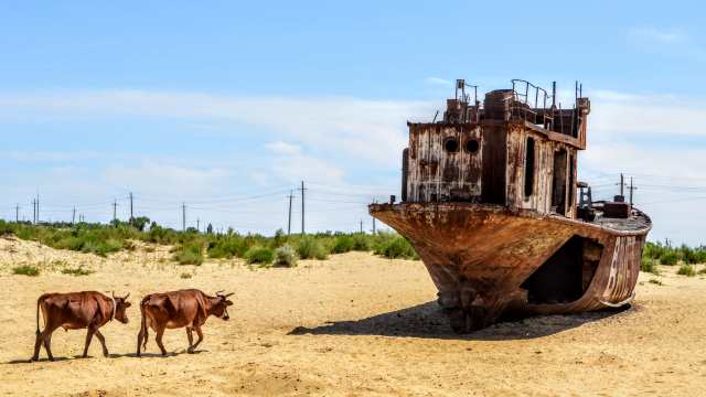 Арал — когда и как море стало пустыней