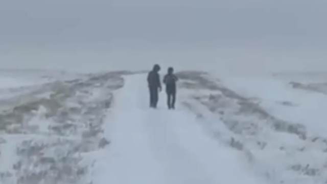 Поиски скота могли привести к трагедии в костанайской степи