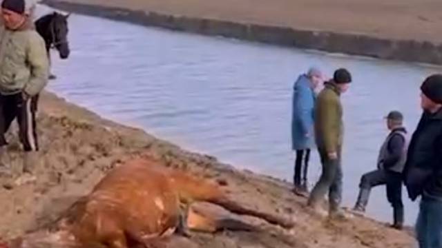 В Узгенском районе во время улак-тартыша погиб игрок