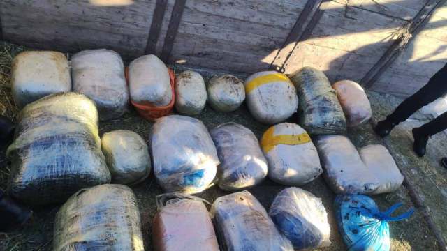 200 килограммов наркотиков везли по Костанайской области