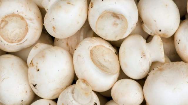 Можно ли есть сырые шампиньоны — эксперты дали ответ