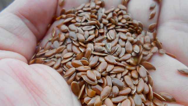 Вздутие исчезнет: как семена льна спасают живот от тяжести