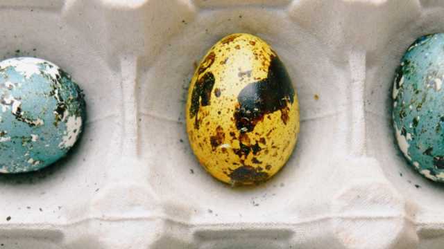 Мраморные яйца на Пасху — способ окрашивания покорил Сеть
