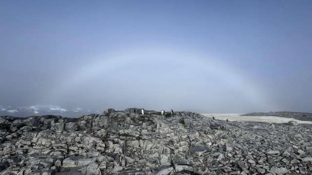 Полярники показали редкую белую радугу — как она возникает
