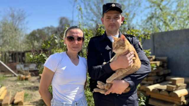 Дамочка взяла кота поиграть и потребовала за него выкуп