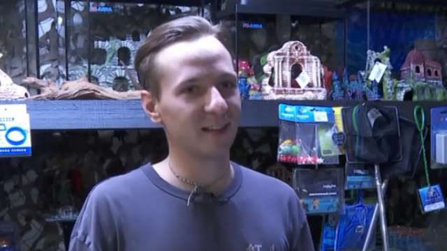 Житель Костаная коллекционирует пауков и лягушек — видео