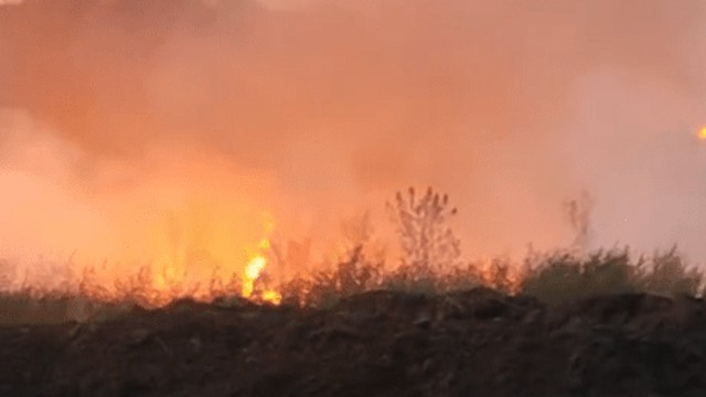 Пожар площадью 10 га тушили между Костанаем и Рудным
