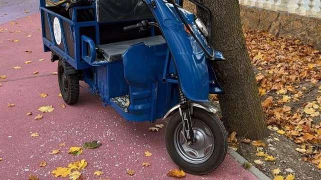6-летняя девочка угнала электротележку и врезалась в дерево