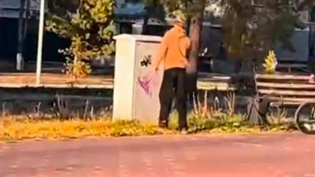 Мать наказали за художества её сына в Костанайской области