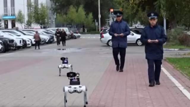 Будущее наступило: робопсы вышли на улицы Костаная